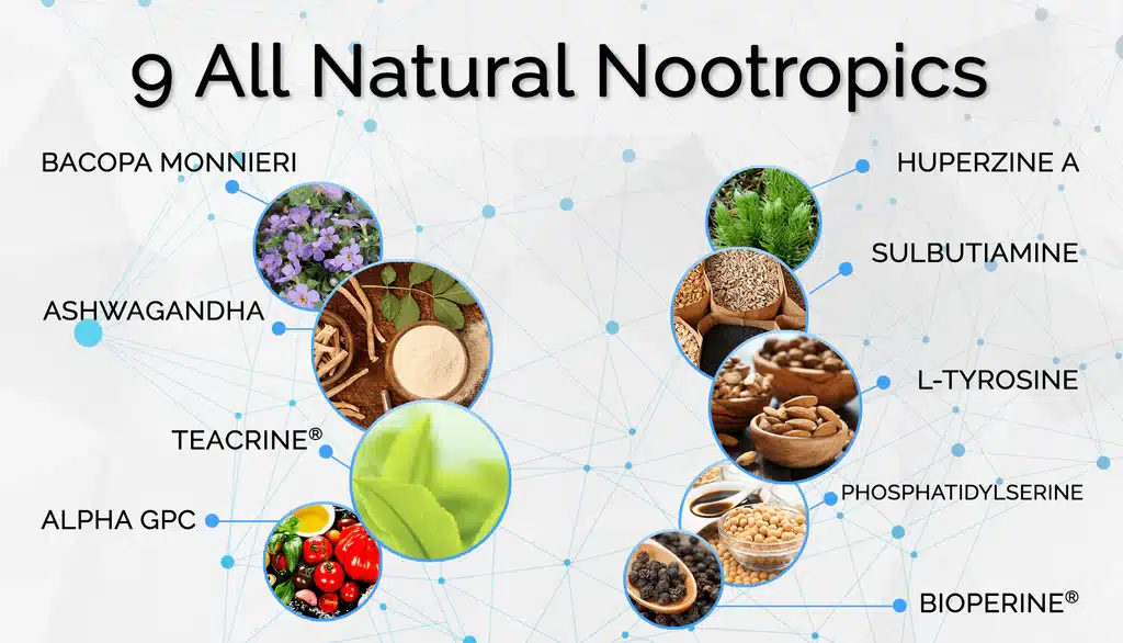 The Top Nootropics for brain function