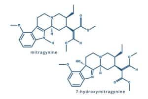 Mitragynine and 7-hydroxymitragynine