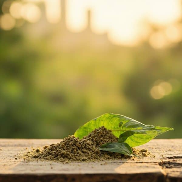 Premium lab-tested kratom available in Barrie from Kratom Earth