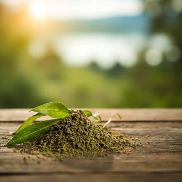 Premium lab-tested kratom available in Campbell River from Kratom Earth