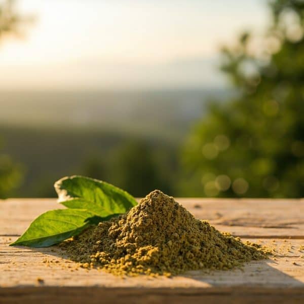 Premium lab-tested kratom available in Fort St. John from Kratom Earth