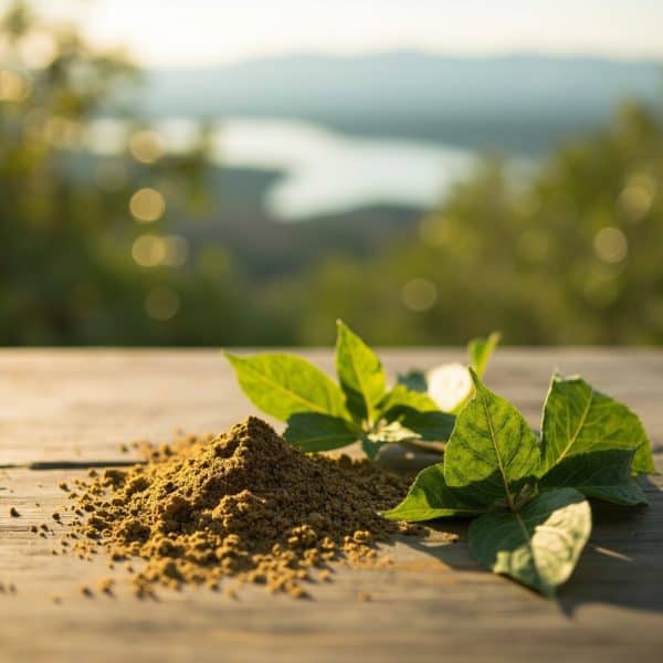 Premium lab-tested kratom available in Kelowna from Kratom Earth
