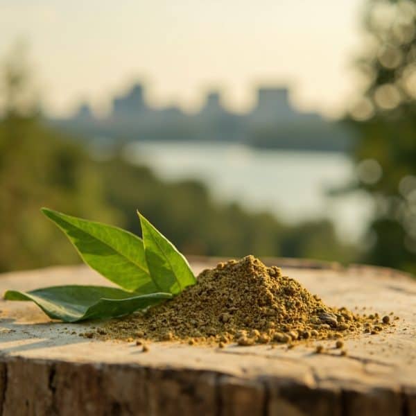 Premium lab-tested kratom available in Kingston from Kratom Earth