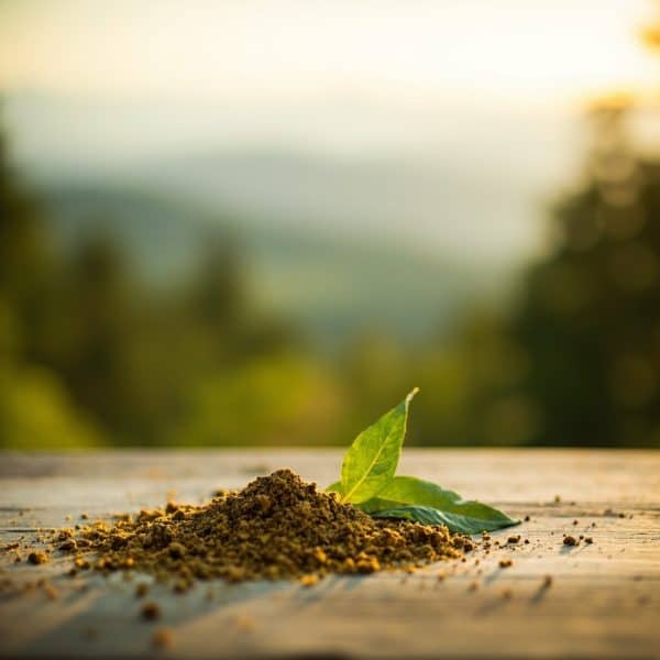 Premium lab-tested kratom available in Maple Ridge from Kratom Earth