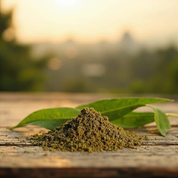 Premium lab-tested kratom available in New Westminster from Kratom Earth