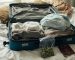 can-you-fly-with-kratom