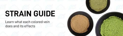 Three bowls with different colored powders on a white background with text "STRAIN GUIDE" and "Learn what each colored vein does and its effects." Explore our shop to discover more.